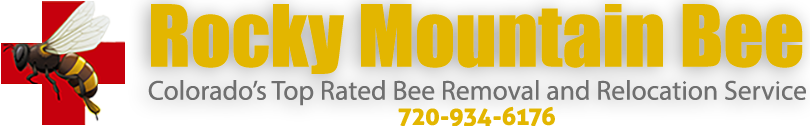 Rocky Mountain Bee